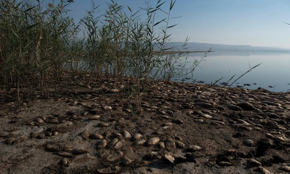 «Αργοπεθαίνει» η λίμνη Κορώνεια: 7 μήνες ανομβρίας - «Έχει πάει μέσα 50 μέτρα»